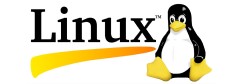 Linux Server